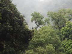 山里-鼎湖山风景区