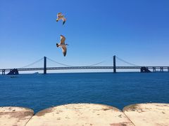 -星海广场