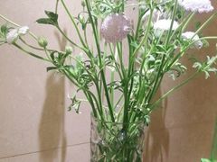 -旺顺阁海鲜广场(亚运村店)