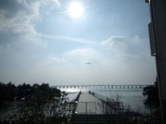 -宝安西湾红树林湿地公园