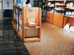 -宠颐生斯嘉宠物医院·急重症·心内科(谷阳北路分院)