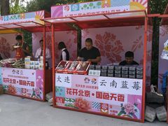 -太阳宫公园