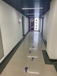 -米可造型烫染