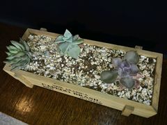 -TPLUS茶家(上海商城南京西路店)