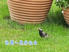 -中山公园