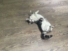 -小时光咖啡馆(开森度假森林店)