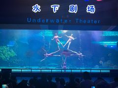 -泉城欧乐堡海洋极地世界
