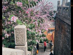 -南沙天后宫景区