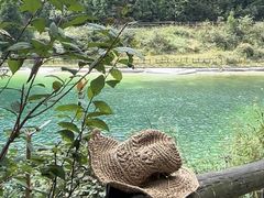 -武陵山森林公园