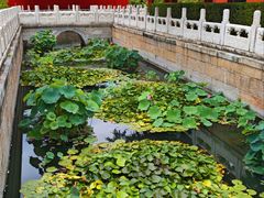 -北京市劳动人民文化宫(太庙)