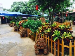 -临高吉海土窑海鲜(琼山店)