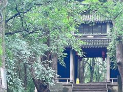 -溪口-滕头旅游景区