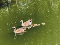 -沈阳鸟岛
