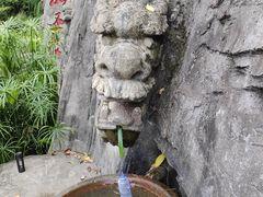 -铁山坪森林公园