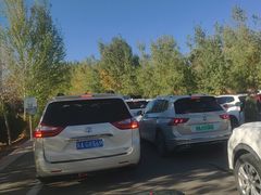 -金塔沙漠胡杨林景区
