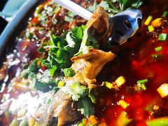 -院8里·小聚园老川菜(九眼桥店)