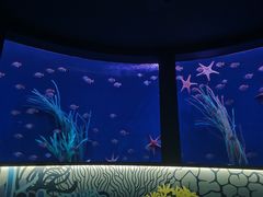 -沈阳海洋探索中心