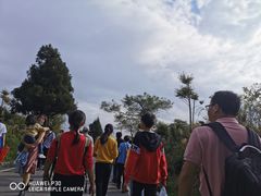 -南岳衡山风景名胜区