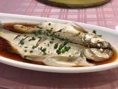 清蒸鲜白鱼-西新饭店(城中店)