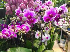 -三旗百汇商品城