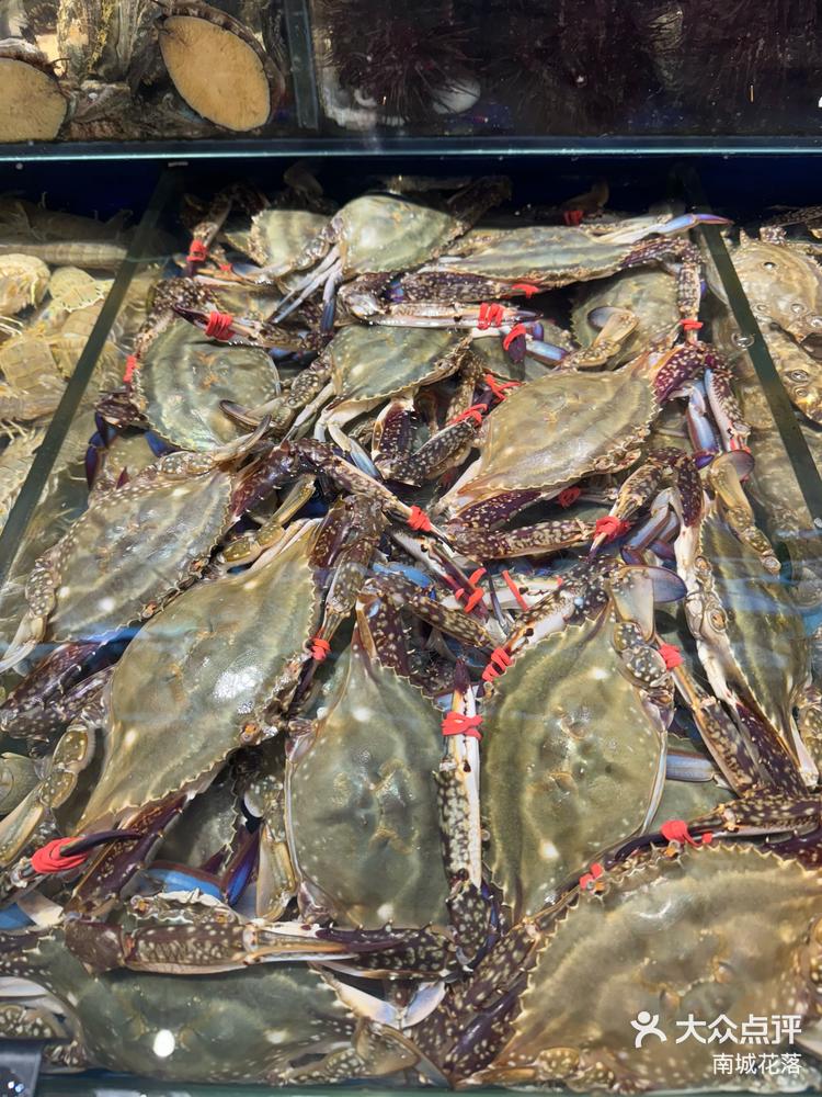 日月明海鲜美食分享