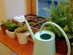 -长颈鹿咖啡(大学路店)