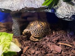 -上海海洋水族馆