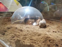 -宝燕乐园(闵行旗舰店)