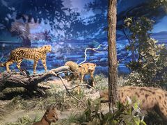 -国家自然博物馆