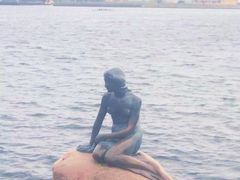 -美人鱼