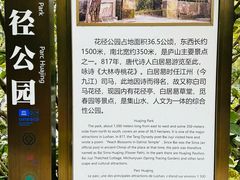 -庐山风景区花径公园