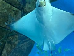 -哈尔滨波塞冬海底世界
