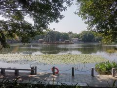 -荔湾湖公园