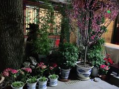 -东来顺饭庄(王府井步行街店)