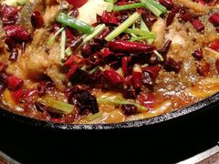 -老板恋上鱼(高新万达店)