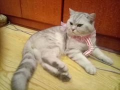 -万小咖.猫咖(中山路天虹店)