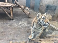 -西安秦岭野生动物园