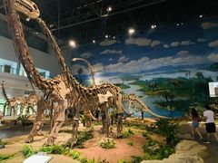 -自贡恐龙博物馆