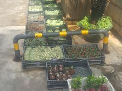 -双龙商场(环城南路店)