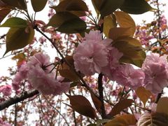 -苏州河梦清园环保主题公园