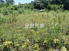 -东部华侨城