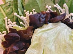 -黄记煌三汁焖锅(崇文门店)