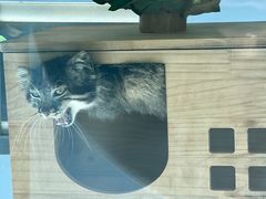 -青藏高原野生动物园