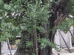 -苏州碑刻博物馆