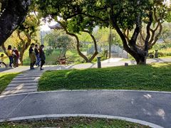 -四海公园(南山区)