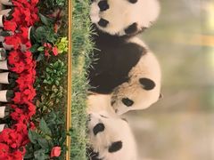 -成都驻京办餐厅(蜀都宾馆店)