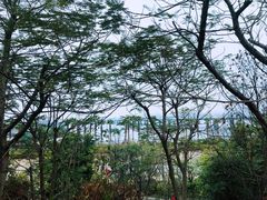 -海堤纪念公园