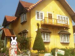 -黄色小屋