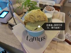 -溪岸路花鸟市场
