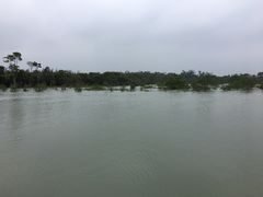 -东寨港红树林旅游区